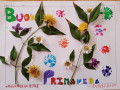 fiori-di-primavera-scuola-dellinfanzia